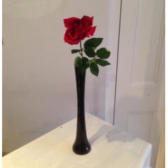 single rose in a bud vase