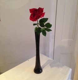 Single Rose in a Bud Vase